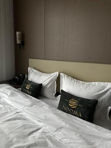 Гостиницы, отели (Посуточная аренда комнат): Адрес : пр Чынгыза Айтматова 88 Посуточно квартиры Бишкек, гостинца — 11