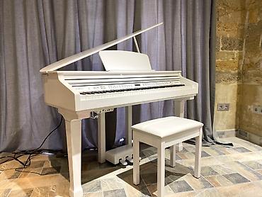 Musiqi alətləri: Koreya istehsali olan dünya şöhrətli kurzweil pianoları. Sevimli — 8