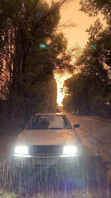 е34 дизель: Audi 80: 1992 г., 2 л, Механика, Бензин, Седан — 1