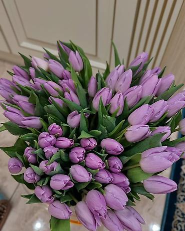 Букеты из живых цветов: Тюльпаны к 8 Марта — опт и розница. - Свежесрезанные тюльпаны разных — 1