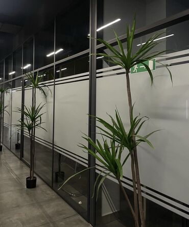 Автомойки: Автомойка | Тонировка — 7