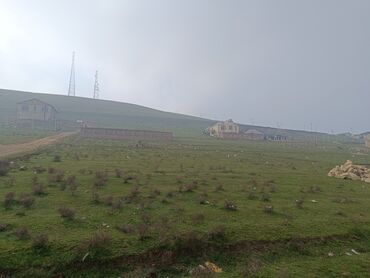 lehic baglarinda torpaq: 12 sot, Tikinti, Mülkiyyətçi, Kupça (Çıxarış), Bələdiyyə, Müqavilə