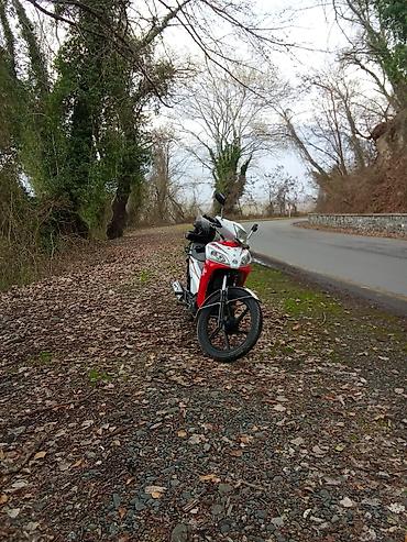 Mopedlər,skuterlər: - EGE seriyası — 11