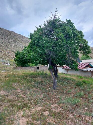 Продажа участков: 6 соток, Для сельского хозяйства, Красная книга — 5