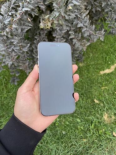 apple 17 pro: IPhone 15 Pro, Б/у, 128 ГБ, Серебристый, 100 % — 4