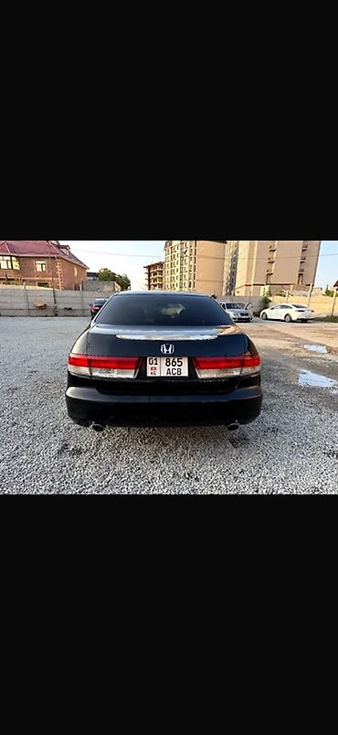 бампер жабра: Honda Accord: 2004 г., 3 л, Автомат, Бензин, Седан — 4