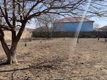 Həyət evləri və villaların satışı: 5 otaqlı, 1000 kv. m, Kredit yoxdur, Orta təmir -da lalafo.az — 6 Həyət evləri və villaların satışı: 5 otaqlı, 1000 kv. m, Kredit yoxdur, Orta təmir — 6