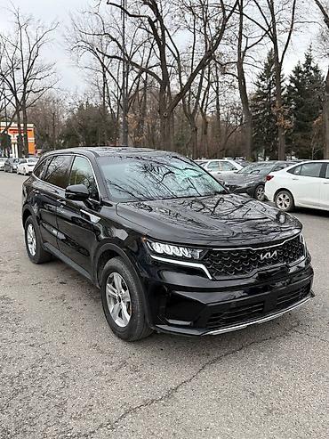 k7 2017: Kia Sorento: 2020 г., 2.5 л, Бензин, Кроссовер — 1