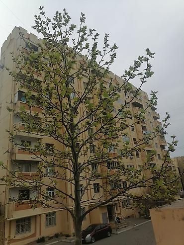 panel evler: Bakı, Yeni Günəşli Massiv Q, 4 otaqlı, Köhnə tikili, 107 kv. m — 1