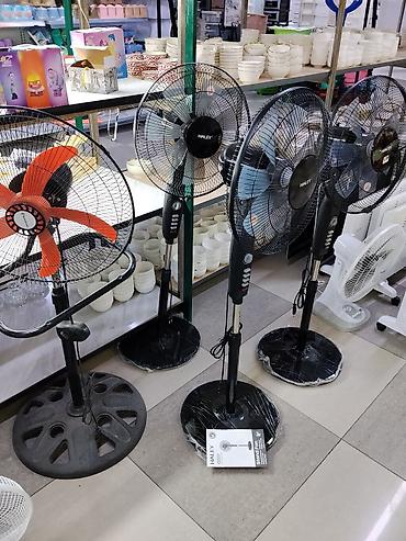 table fan: Напольные вентиляторы HALEY - Тип: напольный вентилятор с круглой — 1