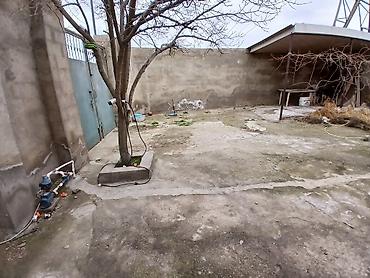 Həyət evləri və villaların satışı: 3 otaqlı, 100 kv. m — 4