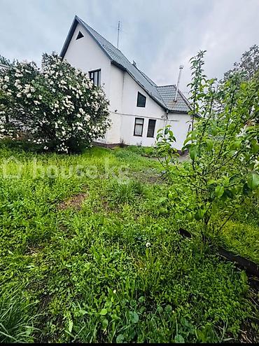 район филармония: 200 м², 5 комнат, Филармония — 2