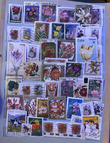 Markalar: Markalar — 11