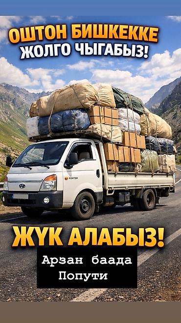 фура одиночка: Заказать Хендай портер — 1