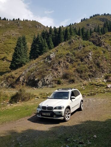 скупка авто в любом состоянии: BMW X5: 2009 г., 3 л, Автомат, Бензин, Внедорожник