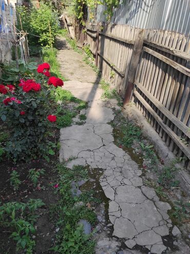дом азия молл: Барачный, 40 м², 1 комната, Собственник, Косметический ремонт