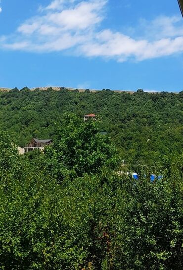 Torpaq sahələrinin satışı: 65 sot, Kənd təsərrüfatı, Mülkiyyətçi, Kupça (Çıxarış), Bələdiyyə — 1