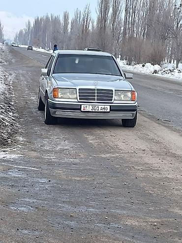 Унаа сатуу: Mercedes-Benz W124: 1993 г., 0.2 - engine capacity л, Кол менен иштөөчү, Седан — 4