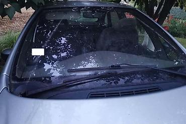 manuel auto: SOFERKA PREDNJA ZA CITROEN XSARA PICASSO — 1