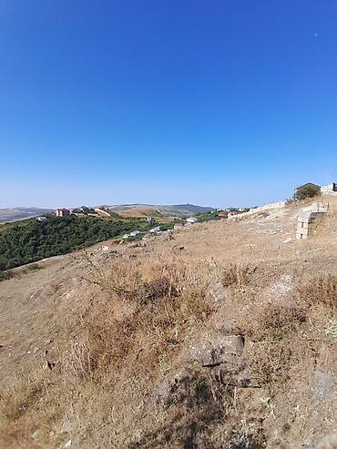 ev elanlari kirayə: 12 sot, Tikinti, Barter mümkündür, Kupça (Çıxarış) — 6