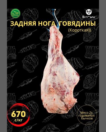 мясо баранина цена бишкек 2023 год: Говядина : Голень, До 1 кг, 1 кг, 2 кг, Самовывоз, Бесплатная доставка, Платная доставка