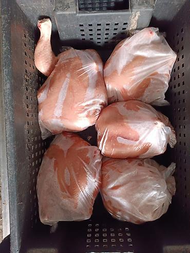 Курица: 🔥 Продаю фермерских бройлерных кур (охлажденка+замороженные тушки) 🔥 💰 — 2