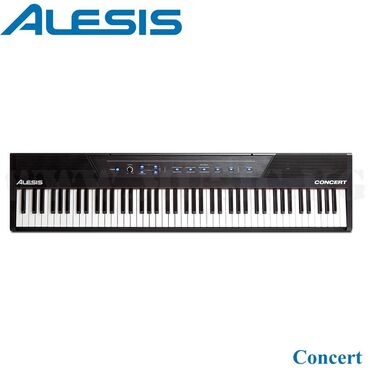 уроки пианино: Цифровое фортепиано Alesis Concert Alesis Concert - это