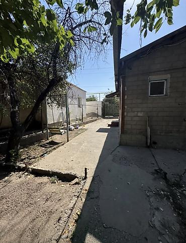 Продажа коттеджей и домов: 🚨 СРОЧНО ПРОДАЁТСЯ ДОМ! 🏡 📍 Новопавловка, ул. Учительская Идеальный — 3