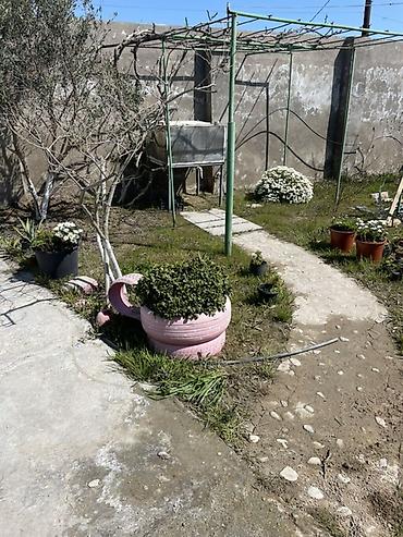upd qesebesinde evler: 138 kv. m, 3 otaqlı, Qaz, Su, İnternet — 3