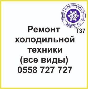 морозильные камеры ош: Все виды холодильной техники. Ремонт холодильников и холодильной