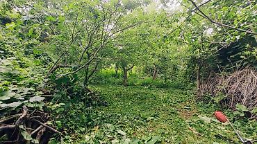 Продажа участков: 6 соток, Для бизнеса, Красная книга, Тех паспорт, Договор купли-продажи — 13