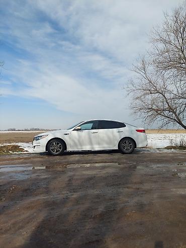 Kia: Kia Optima: 2017 г., 1.6 л, Автомат, Бензин, Седан — 10