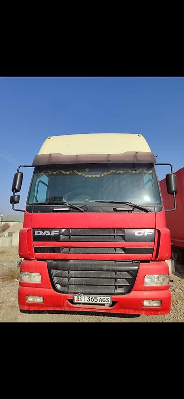 кран паук: Тягач, DAF, 2003 г., Шторный — 5