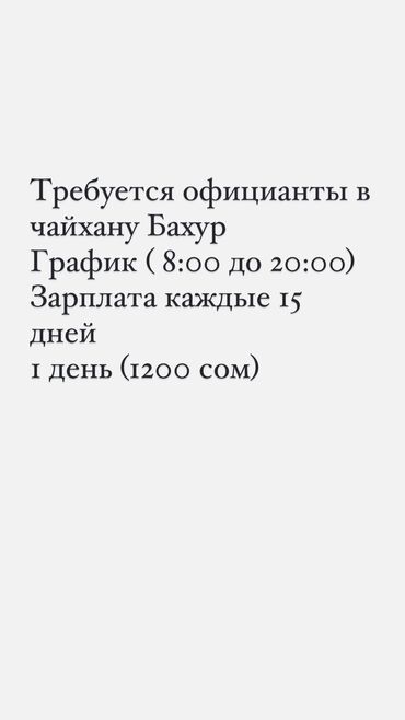 требуется официант бишкек: Требуется Официант Менее года опыта, Оплата Дважды в месяц