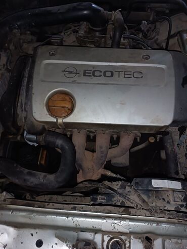 Другие детали кузова: Opel Astra G — разбор на запчасти Доступны узлы и детали по этому — 4