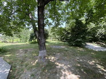 Torpaq sahələrinin satışı: Tikinti — 5