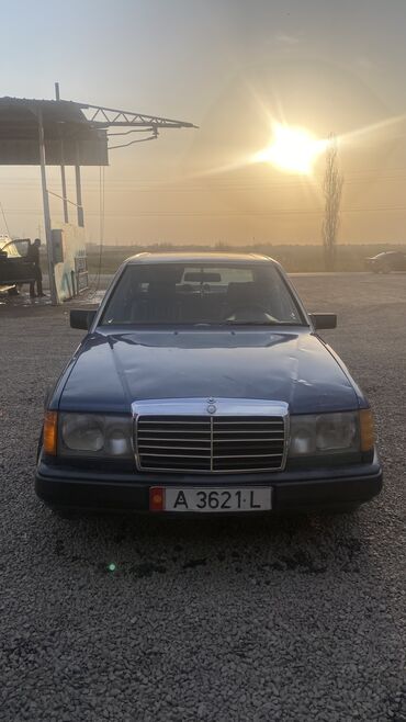 Mercedes-Benz: Mercedes-Benz W124: 1991 г., 2.5 л, Механика, Дизель, Седан