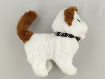 Mascot Dog, condition - Perfect