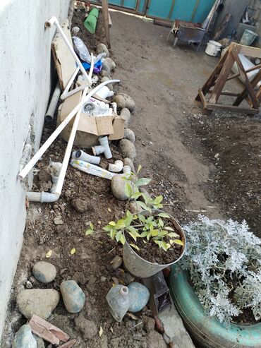 Uzunmüddətli kirayə evlər: 32 kv. m, 2 otaqlı, Qaz, İnternet, Artezian quyusu — 4