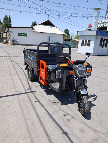 Другая мототехника: Мотороллер муравей мотороллер муравей ! Трицикл, электро мотоцикл — 7