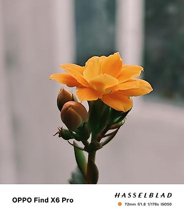 Oppo: Oppo Find X6 Pro, Б/у, 512 ГБ, цвет - Зеленый, 2 SIM — 14