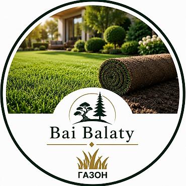 Ландшафтные услуги Bai Balaty - Ландшафтный дизайн: разработка