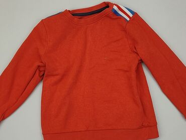 Sweatshirts: Sweatshirt, 4-5 years, 104-110 cm, condition - Ideal