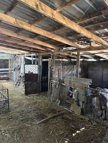 Продажа домов: Дом, 89 м², 4 комнаты, Собственник, Косметический ремонт — 18