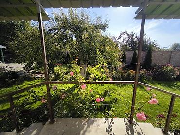 Продажа отелей и хостелов: Продается ухоженная усадьба с двумя домами и плодоносящим садом в — 19