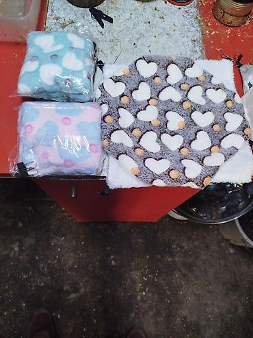 Крысы: Продам маленьких крысят Рэксов . Есть в продаже клетки поильники — 13