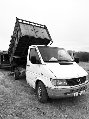 Mercedes-Benz: Mercedes-Benz Спринтер: 1999 г., 2.9 л, Механика, Дизель, Бус