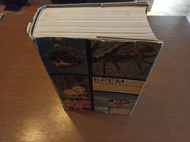 Knjige i stripovi: BREM Kako žive životinje Dobro očuvana knjiga iz 1967g. Izdavač — 4