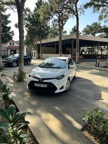 Toyota: Toyota Corolla: 1.8 l | 2019 il Sedan