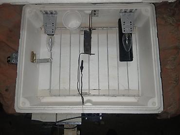 İnkubatorlar: 50 yumurta, Azərbaycan, Tam avtomat — 4